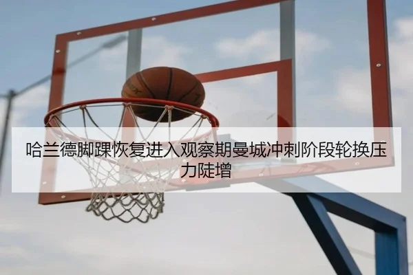 ha-lan-de-jiao-huai-hui-fu-jin-ru-guan-cha-qi-man-cheng-chong-ci-jie-duan-lun-huan-ya-li-dou-zeng-2-939.jpg